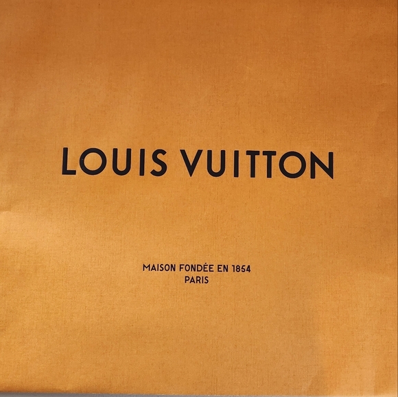 Louis Vuitton Large Empty Paper Gift Shopping Tote Bag 21"x19”x4.75” Decor - Picture 7 of 7